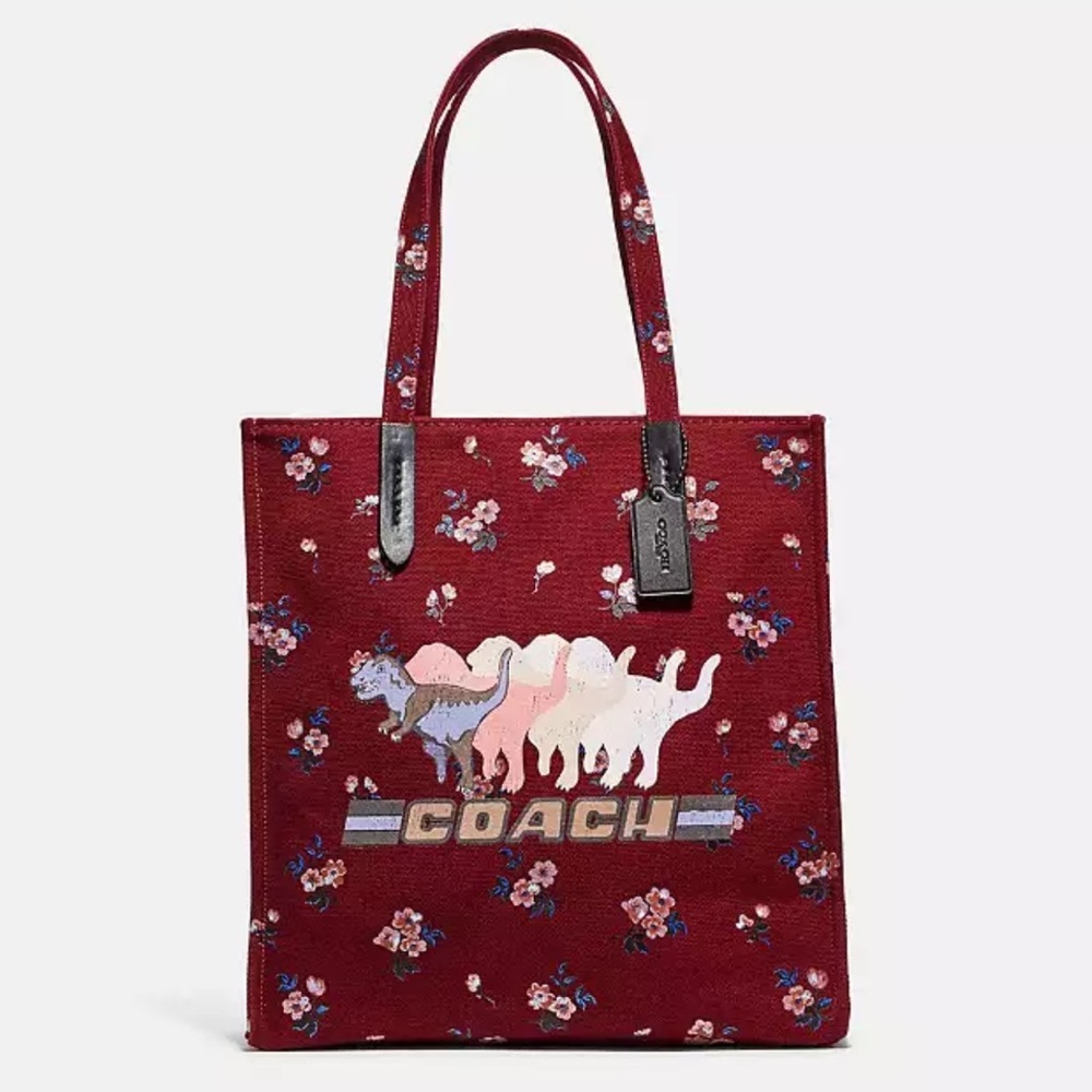Coach Tote With Shadow Rexy